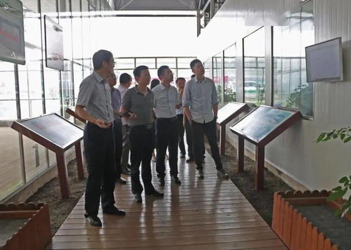 光明食品集團深入調研星輝蔬菜產業發展，助力市場戰略優化